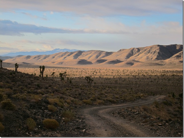 dv road