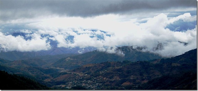 IMG_8418 (Large)